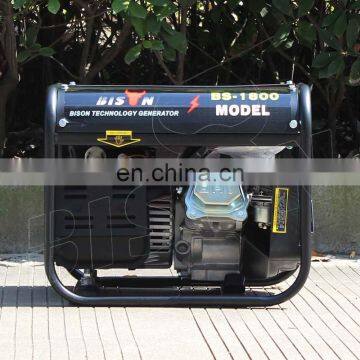 Mini Manual Generator 1000 W Dc Home 1000W Us Plug Gasoline Generators 1Kv photo-5