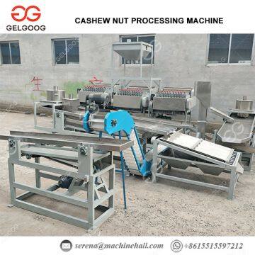 Automatic Cashew Nut Production Line Processing Plant Cost, High Quality photo-2