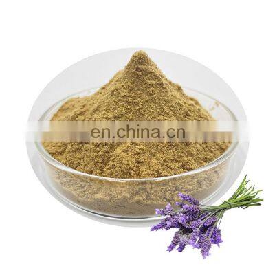 Supply Dried Lavender Flower Extract Lavender Powder lavender flower extract Natural Antioxidant Natural lavender extract