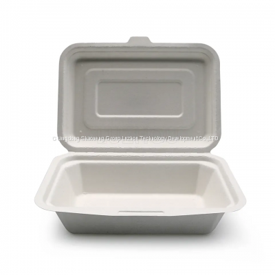 Customizable 450ml 17.5cm Greaseproof and Microwavable Eco Friendly Bagasse Food Containers Biodegradable Lunch Box Disposable