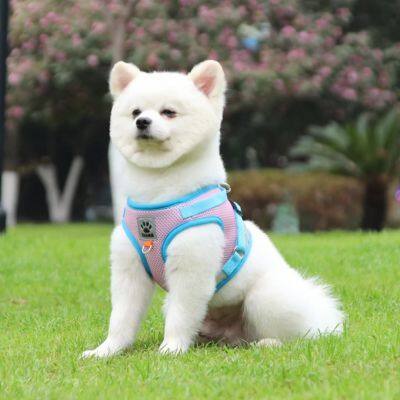 Premium Custom Pet Leash Heavy Duty Reflective Dog Lead Collar Strap with Comfortable Padded Handle & Anti-Tangle Swivel Hook