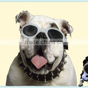 Cool cheap wholesale pet toys pet glasses