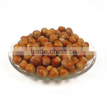 Premium Quality Organic Hazelnuts