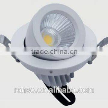 Ronse 20W led cob trunk down light rotable CE ROHS high quality(RS-F401C)