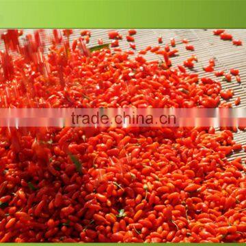 Super Fruit Gojiberry With Low Price photo-2