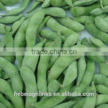 Frozen soyabean, frozen type fresh soyabean