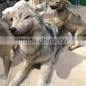 Realist Art Sculpture Of Life Size Wolf Statue With Top- quality