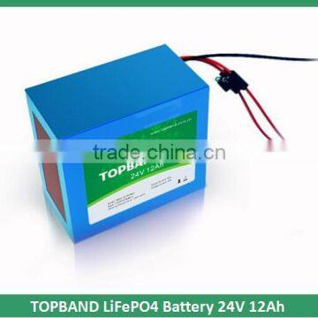 Hot Sale!!! TOPBAND 24V 12Ah LiFePO4 Batteries Pack with PCM BMS