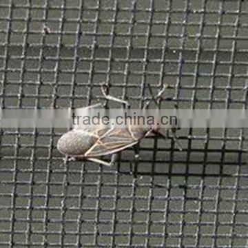 window insect screen