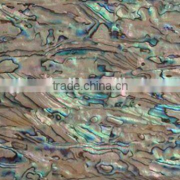 Abalone Shell shell mosaic polished for Interior Wall Decoration