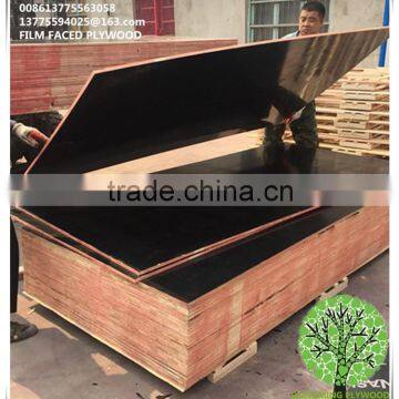 Shuttering Plywood/Waterproof Plywood/Construction Plywood