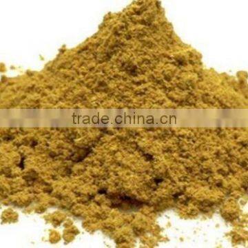 Coriander Whole & Powder photo-3