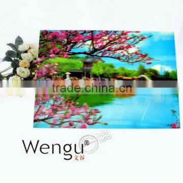 Custom dining table mat/pp dining table mat/ /dining table mat supplier and manufacture