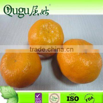 navel orange and valencia orange importer