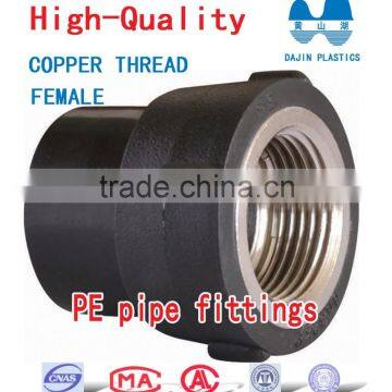 Female Threaded Bushing PE Pipe Fittings