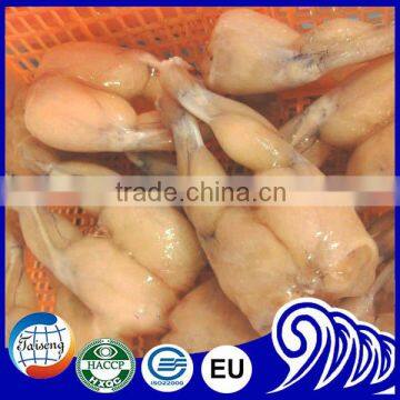 High Quality Rana Species Frozen Frog Price