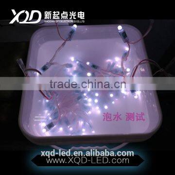 Hot Sell in America Dc12V Pixels Led Light Lamp Ws2811 12mm 0.3w 50pcs a String for Christmas Decoration photo-4