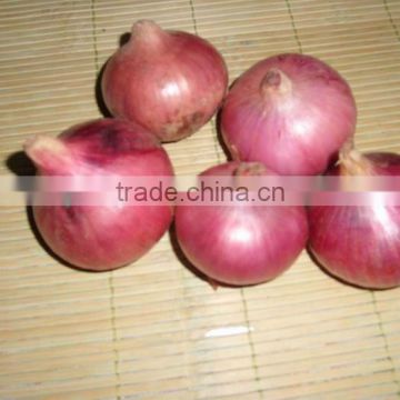 red onion