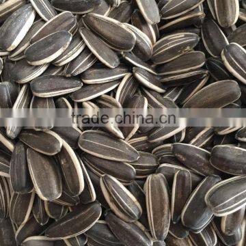 The Lowest Price Of Sunflower Seeds 5009 With High Quality