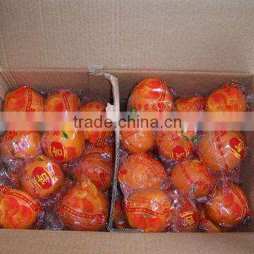 Fresh Baby Mandarin Orange Citrus Fruits photo-5