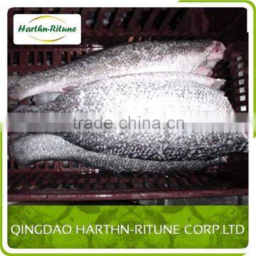 Frozen Whole Tilapia Fish photo-3