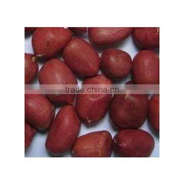 RED COLOR PEANUT