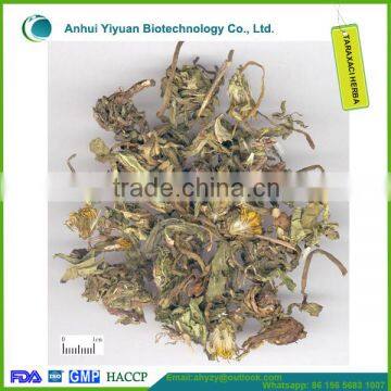 Chinese Herb Medicine Taraxaci Herba (Pugongying)