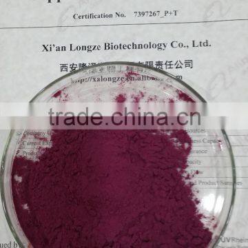 Acai Berry Extract photo-3