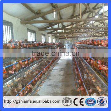 High quality Automatic layer chicken cages /Broiler cage poultry equipment(Guangzhou Factory)