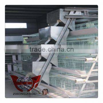 Automatic Feeding Equipment for poultry farming equipment