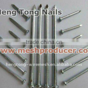 Stainless Steel Concrete Nails