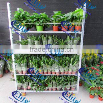Hot Sale Greenhouse Cart / Flower Display Shelf