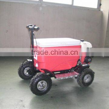Popular Gas Cooler Scooter 43CC SX-G110 photo-6