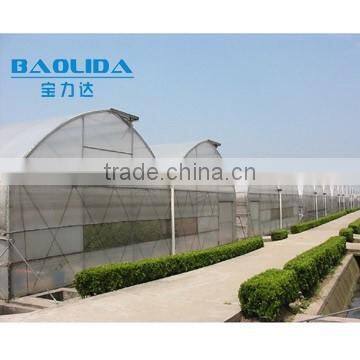 Baolida High Quality Plastic Greenhouse for Chili photo-3