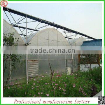 Hot Sale 6.4m Multi-span Agriculture Plastic Greenhouse for Flowers photo-5