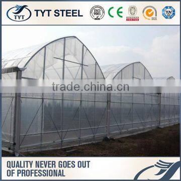 Movable Seedbed Bed for Agricultural Greenhouse Galvanized Steel Pipe for Greenhouse Commercial Greenhouses photo-4