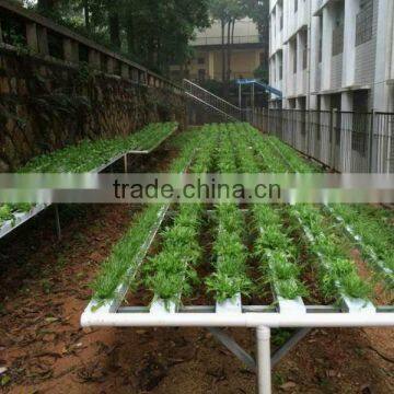 pe Pipe for Irrigation Diameter 16mm-110mm Good Material High Quality Cheap Price Manufacturer of Pipe photo-5