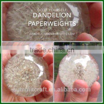 Custom Shape Artificial Dandelion Acrylic Paperweight photo-2