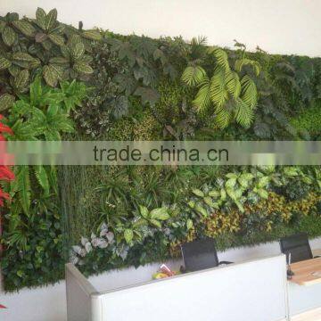 Green Decorative Plants photo-6