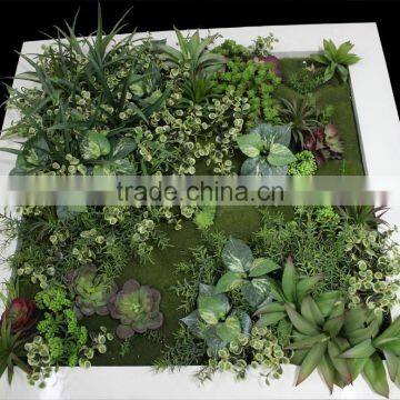 Fake Grass Wall China Factory House Use Artificial Living Wall photo-5