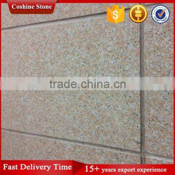 2cm Bush Hammered China Capao Bonito Granite 60x60