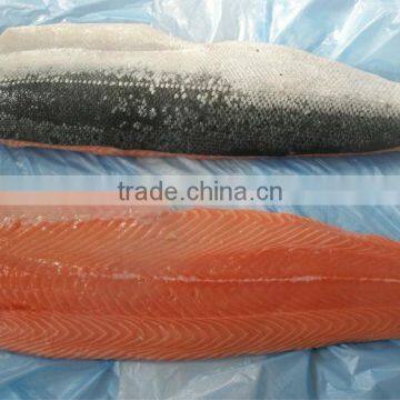 frozen chum salmon fillet 13+