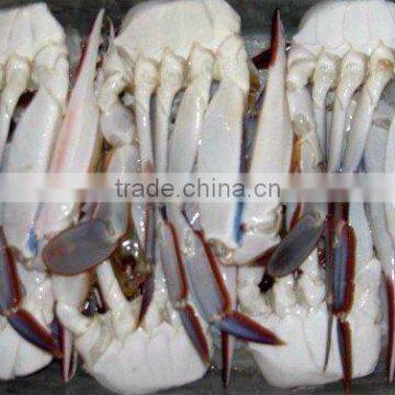 frozen deep sea high quality crab fishing