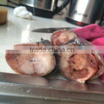 2016 Landing Sea Frozen Mackerel 150-200g photo-4