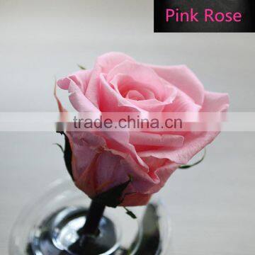 Natural Cheap Artificial Single Stem Wholesale Preserved Rose Flowers photo-5