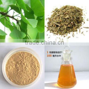 High quality Ginkgo biloba extract, pure natural plant extract powder