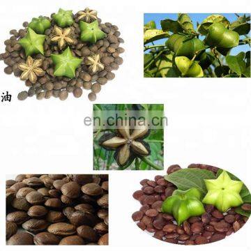 Sacha Inchi Seed Shelling Machine photo-3