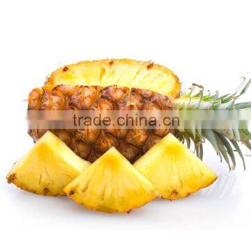 Best Price Fresh Yellow Pineapple from Vietnam