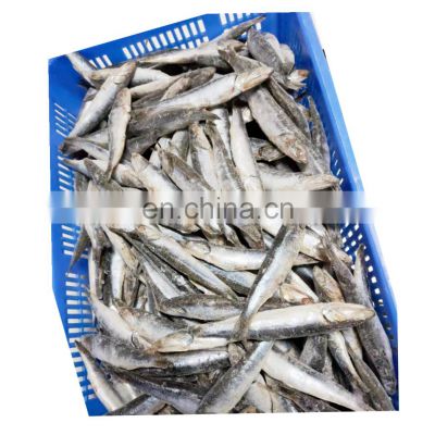 Hot sale IQF sardine fish OEM packing for bait