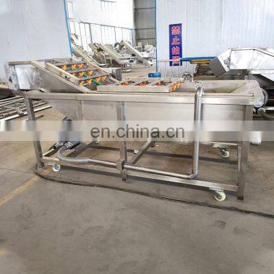 Stainless Steel Chilli Washing Machine Industrial Fruit Bubble Washing Machine Root Vegetable Washer Cleaning Machine